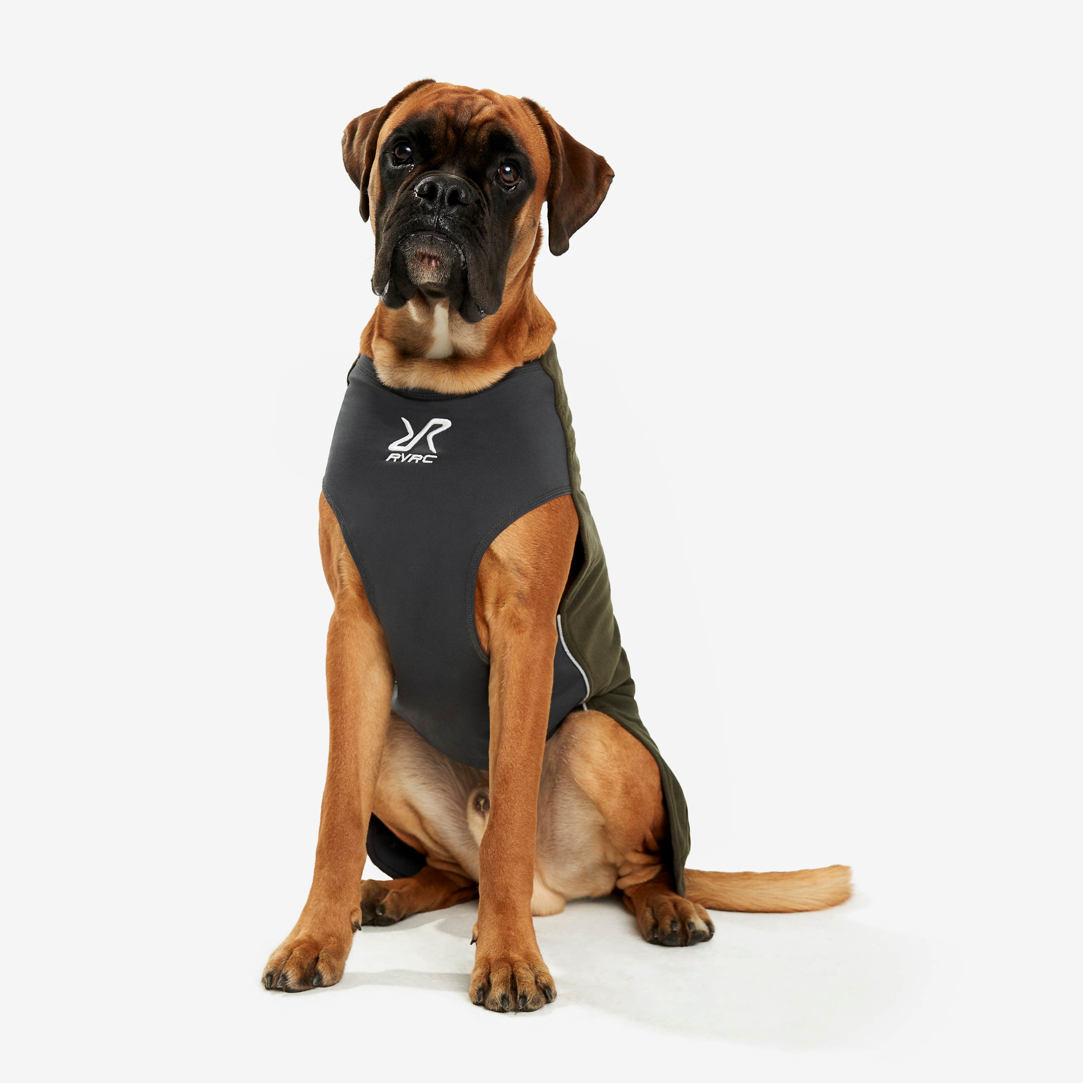 Trekker Fleece Hund Forest Night