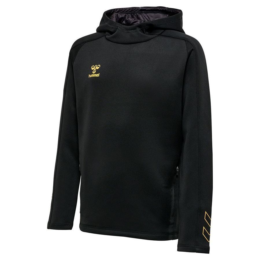Sweat à capuche
