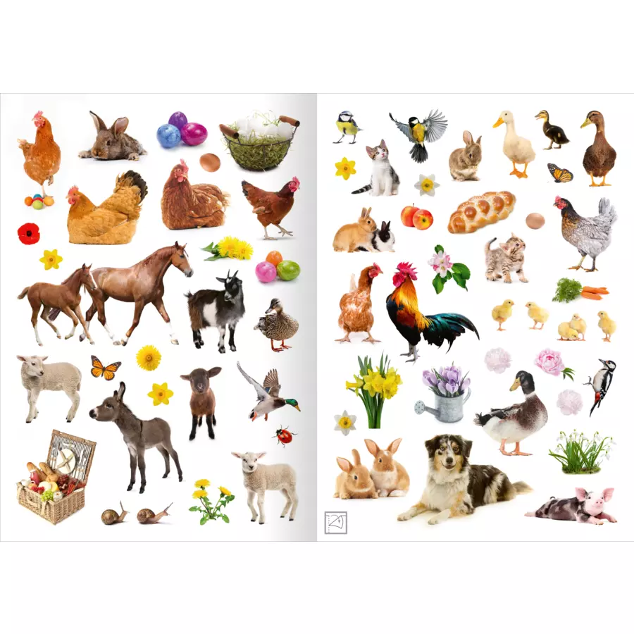 arsEdition Mein Foto-Stickerspaß – Frühling