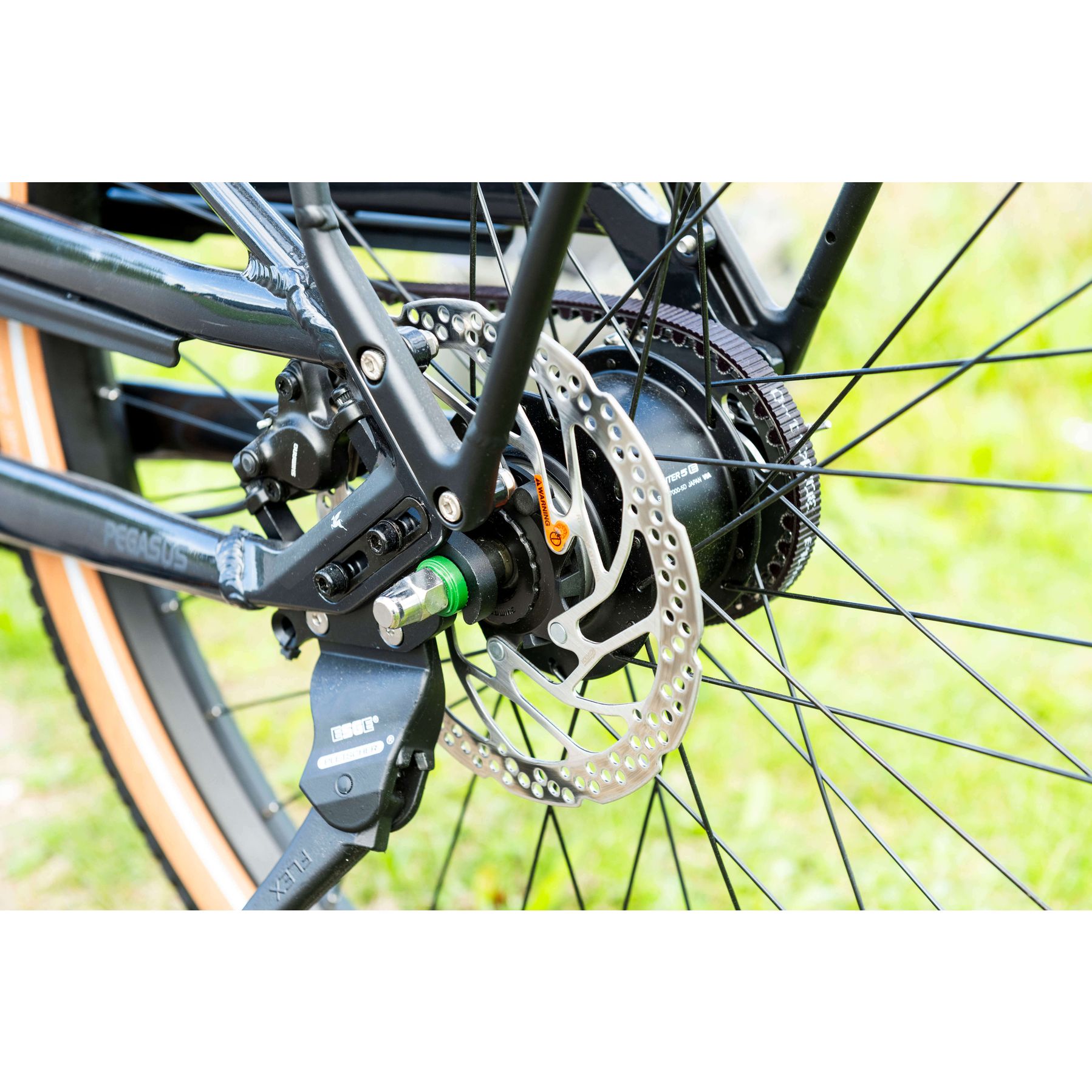 Pegasus Savino EVO 5F Lite Belt