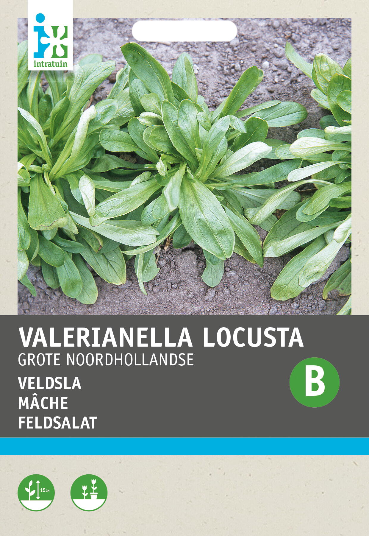 Intratuin groentezaad (Vallerianella locusta 'Grote Noordhollandse')