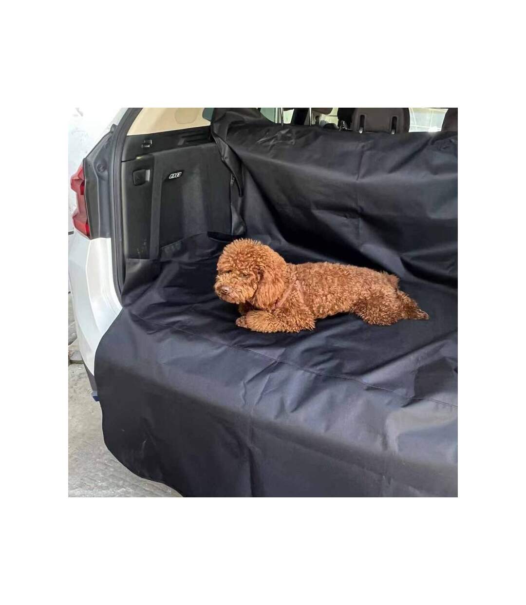 Paris Prix - Housse De Protection Pour Chien auto 204cm Noir