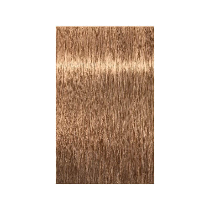 Coloration Igora Royal Schwarzkopf 60ML ( Par numéro )