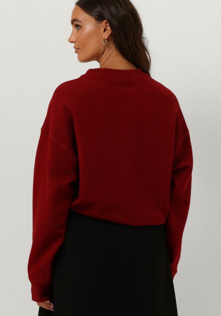VANILIA rode vanilia sweater herringbone sweat