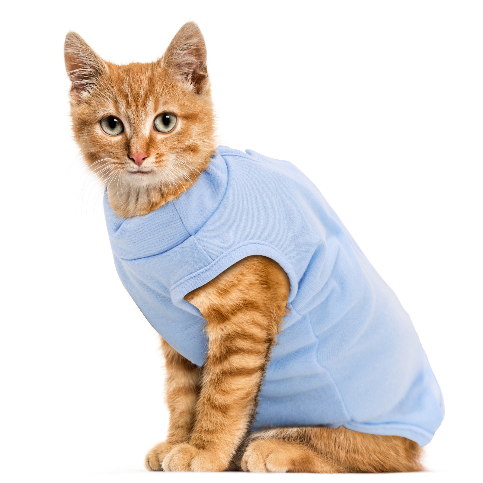 Nobleza - Colete de Recuperação para Cães e Gatos, Roupa de Recuperação Pós-Cirúrgica, Protetor de Ferida Abdominal, Colete de Recuperação Respirável para Gatos e Cães de Pequeno Porte (Azul, M)