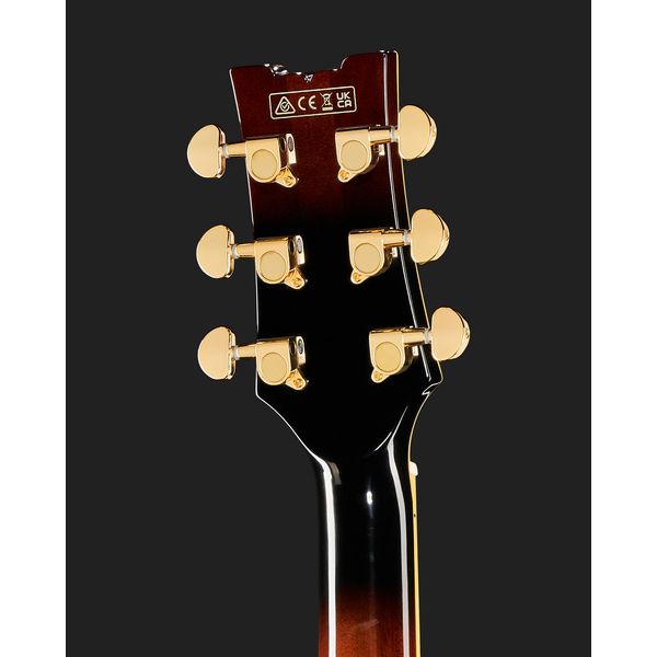 Ibanez AM153QA-DBS
