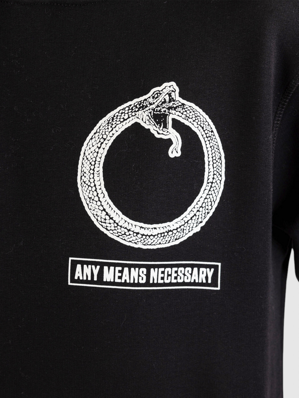Any Means Necessary The World Hoodie black
