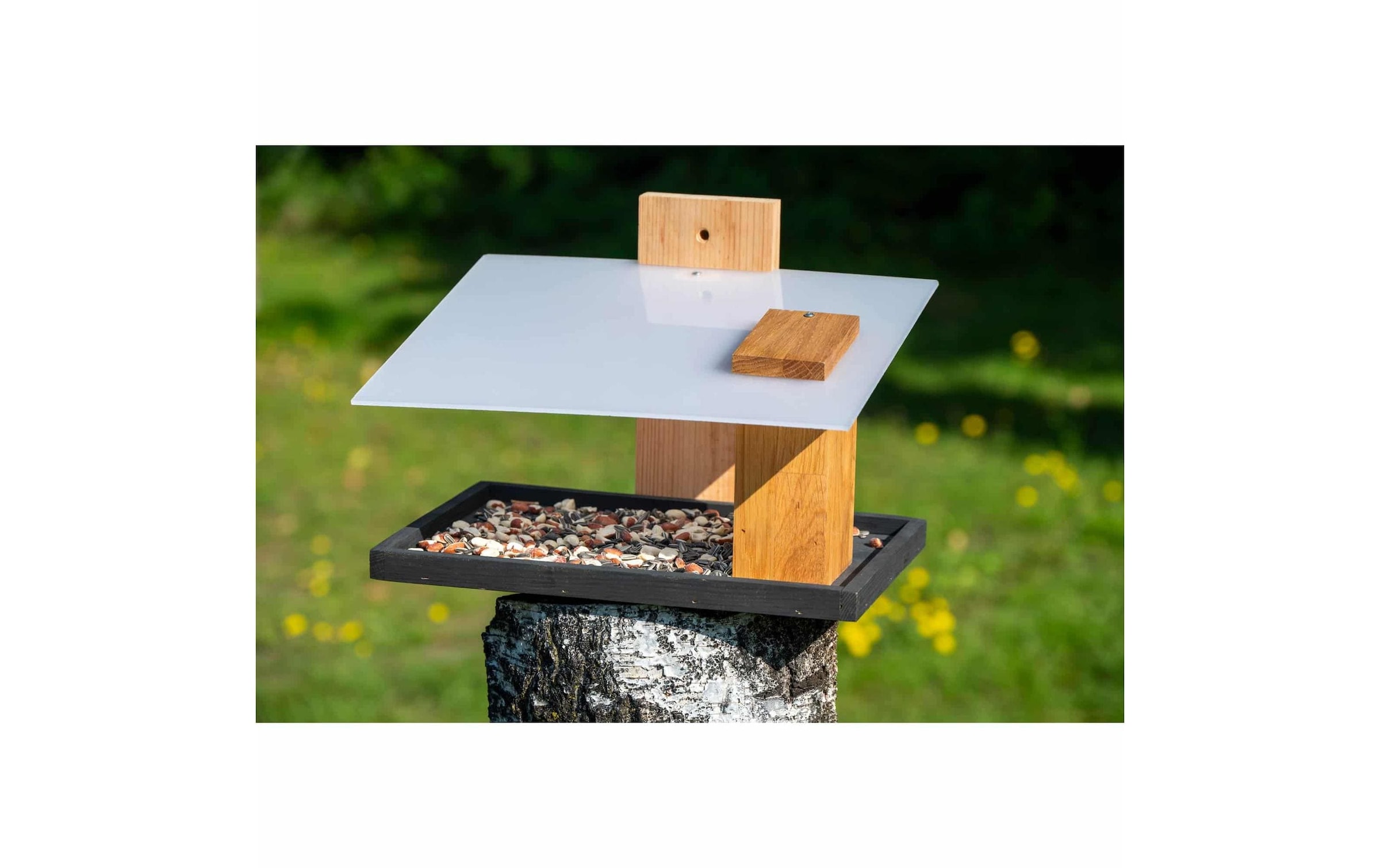 dobar Vogelhaus »Futura I, 35 x 24 x 22 cm, Holz« Holzart: Eiche (Europa)