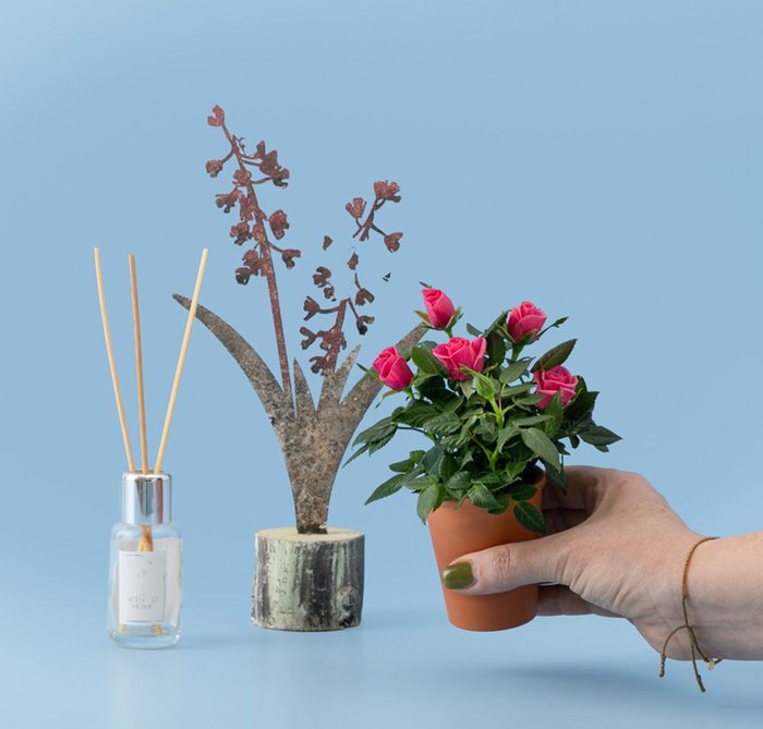 Giftset | Potrozen met Geursticks