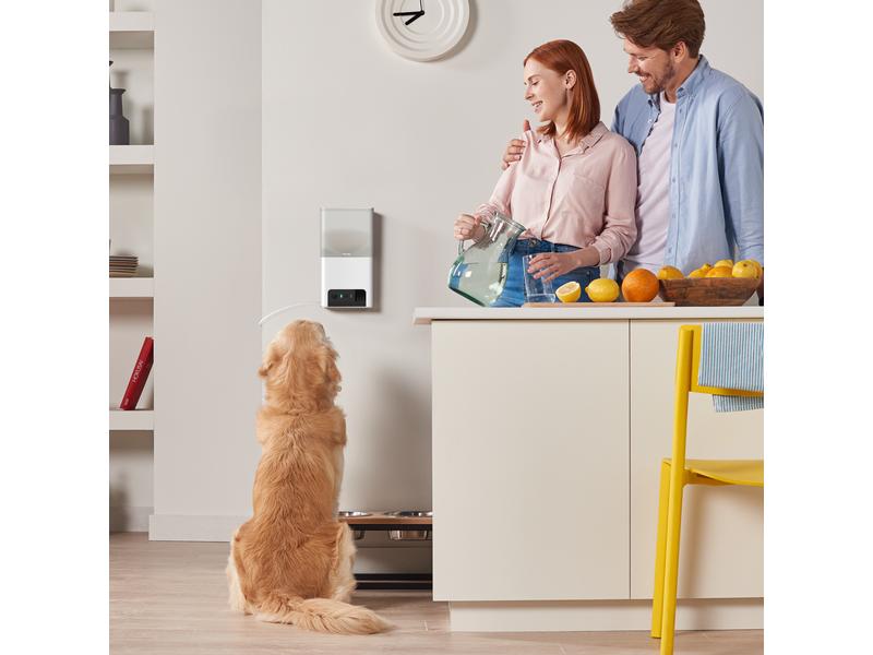 Petcube Haustierkamera Bites 2 Lite Haustierkamera mit Leckerli Ausgabe