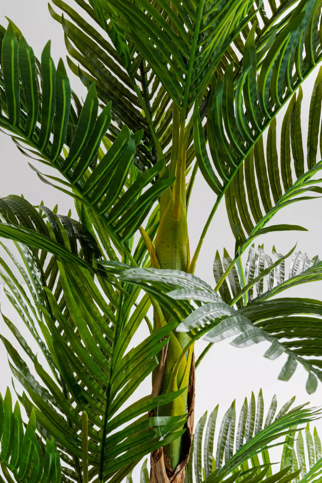 Deko Pflanze 51789 Palm Tree