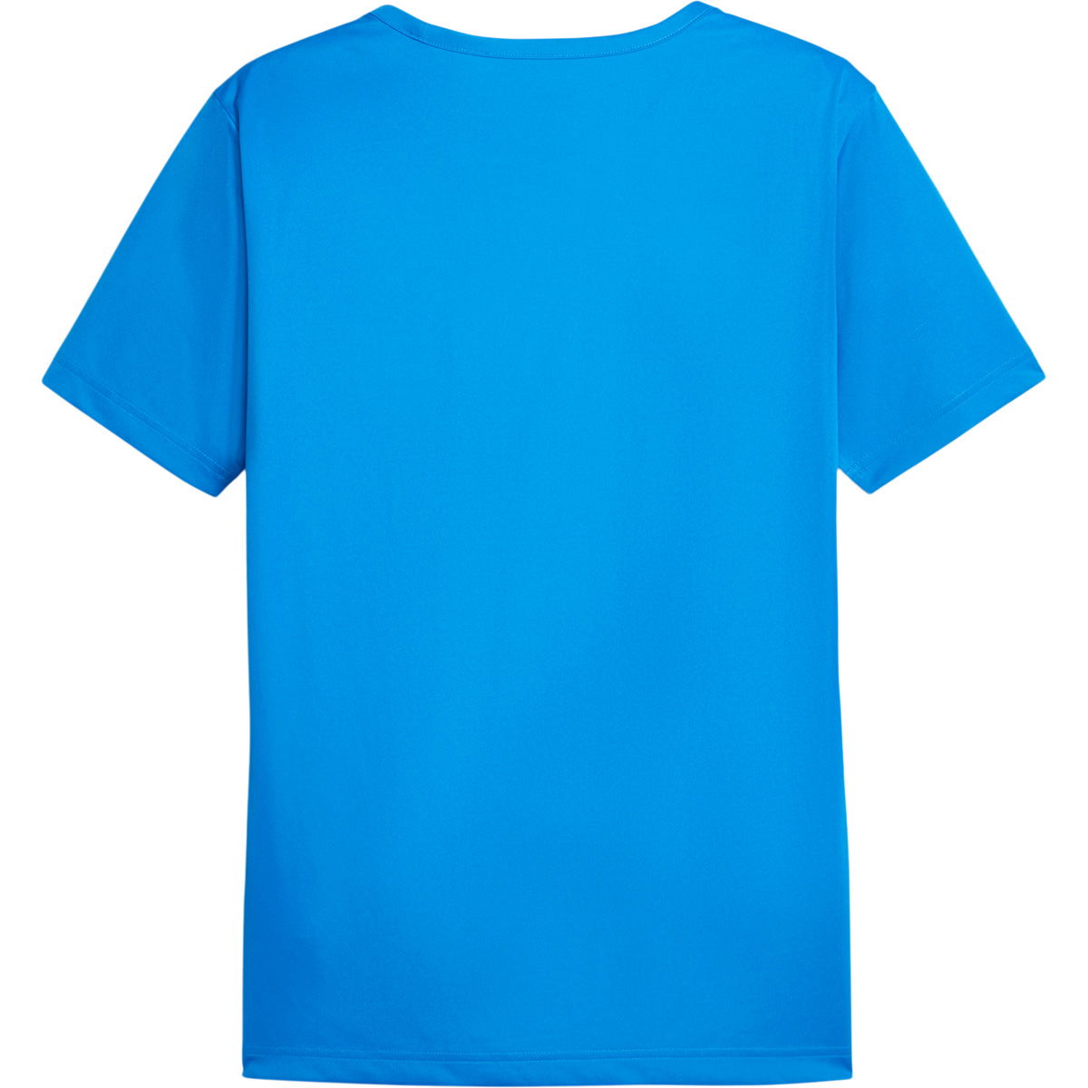 Puma individualRISE Graphic Trænings T-shirt Herre