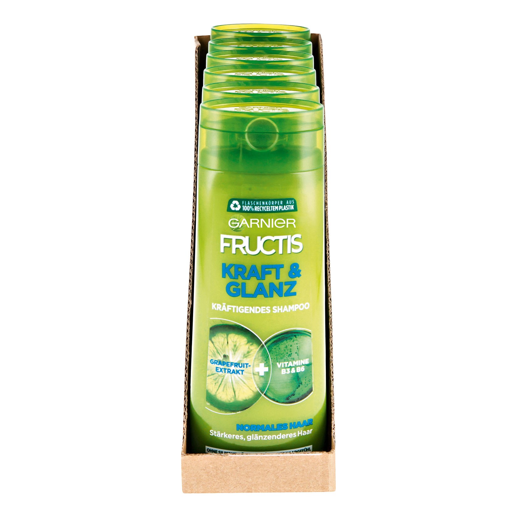 Garnier Fructis Shampoo Kraft & Glanz 250 ml, 6er Pack