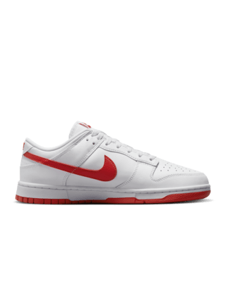 Nike Dunk Low Retro Men's Shoes