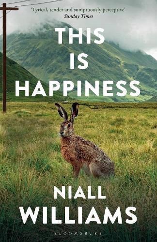 This Is Happiness (Paperback)