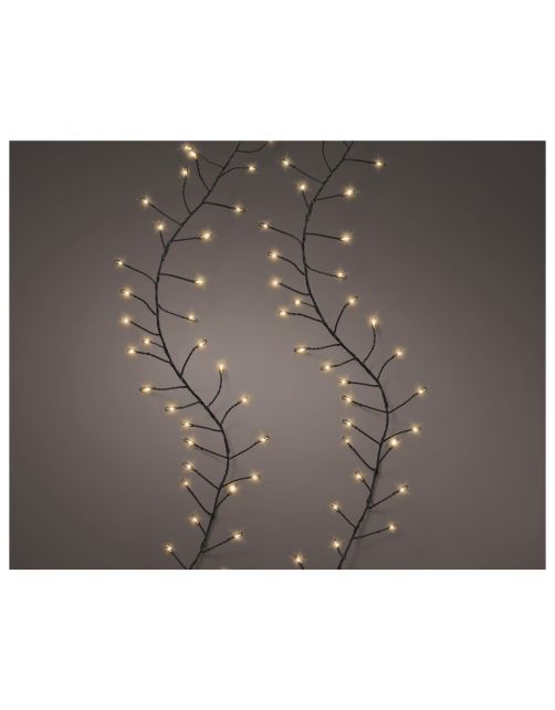 Lumineo Micro Compact Light Twinkel - Decoratie - 1200 cm Zwart 960 led