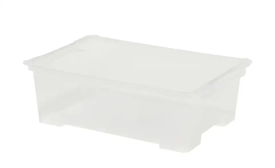 Rotho Aufbewahrungsbox 18,3 cm