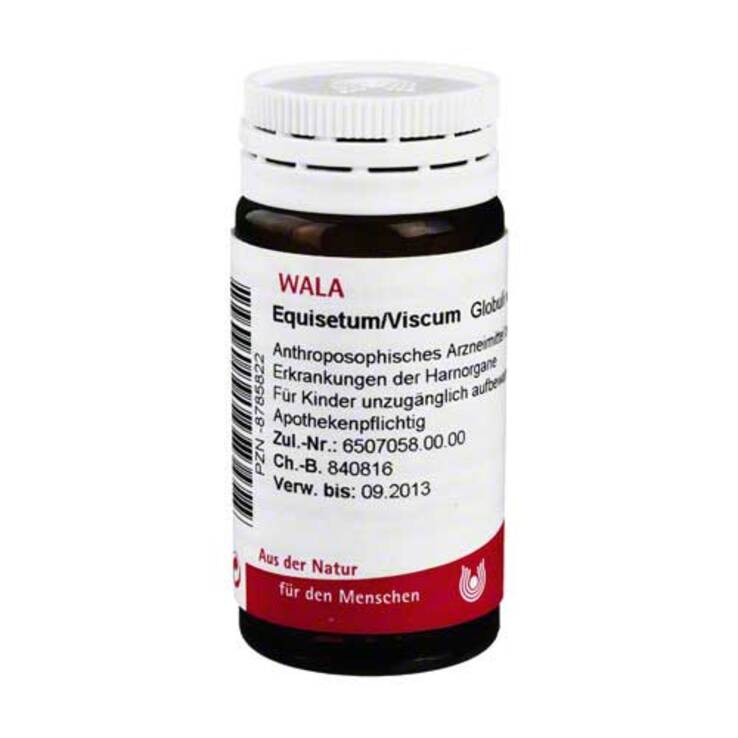 Equisetum / Viscum Globuli, 20 g