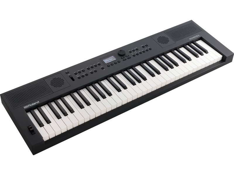 Roland Keyboard GO:KEYS 5 Graphite Keyboard mit 61 anschlagsdynamischen Tasten und Zen-Core Engine