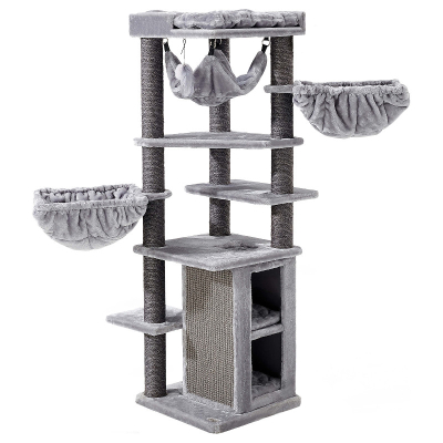 PR Kratzbaum Kings & Queens Ramses 158 grau
