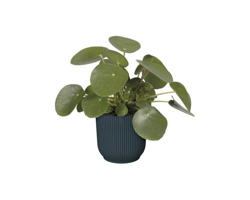 elho Vibes fold ronde mini plantenbak, kunststof, Ø 9,3 cm, H 8,8 cm, blauw