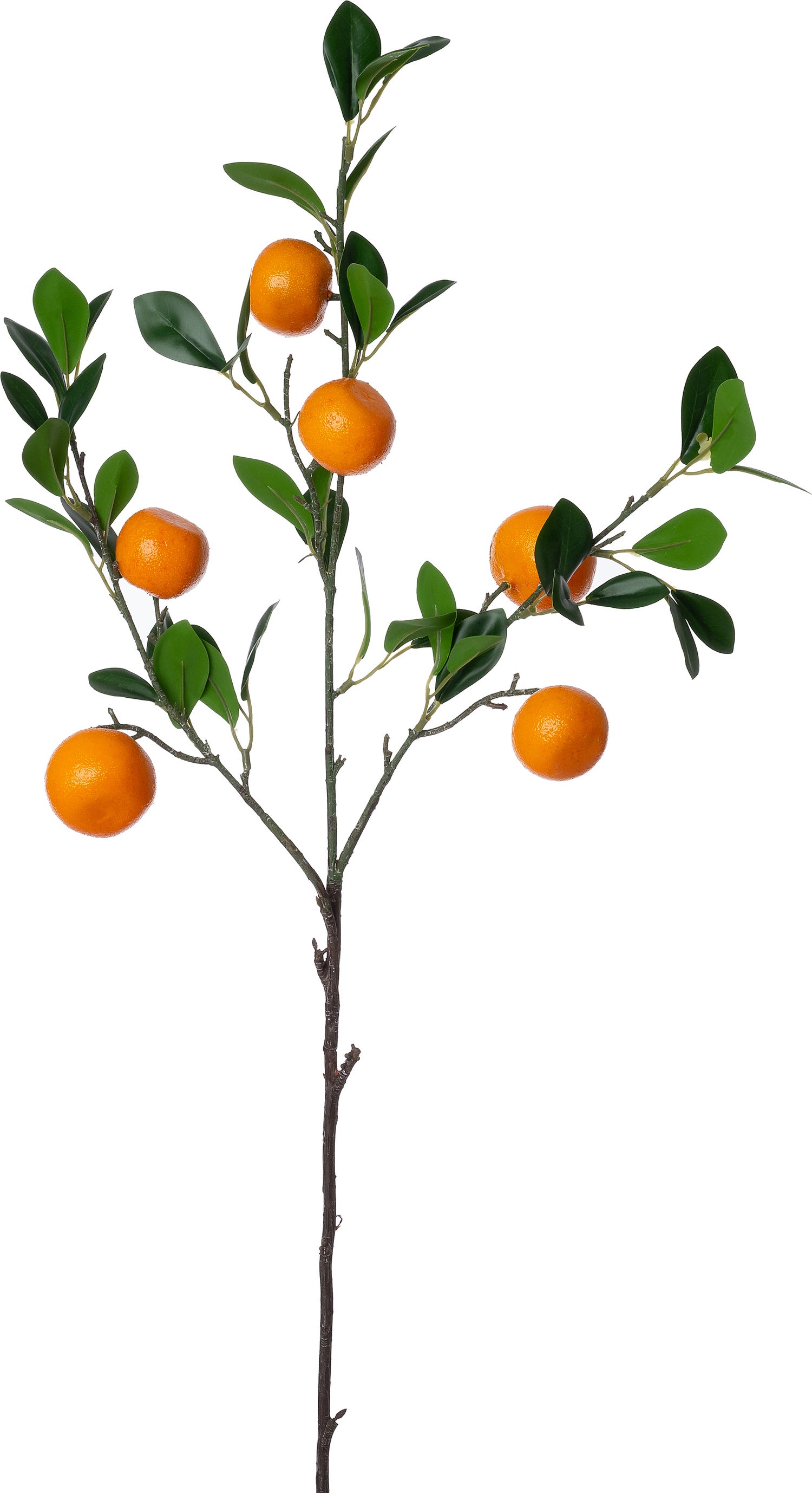 Intratuin kunsttak Sinaasappel groen oranje 90 cm