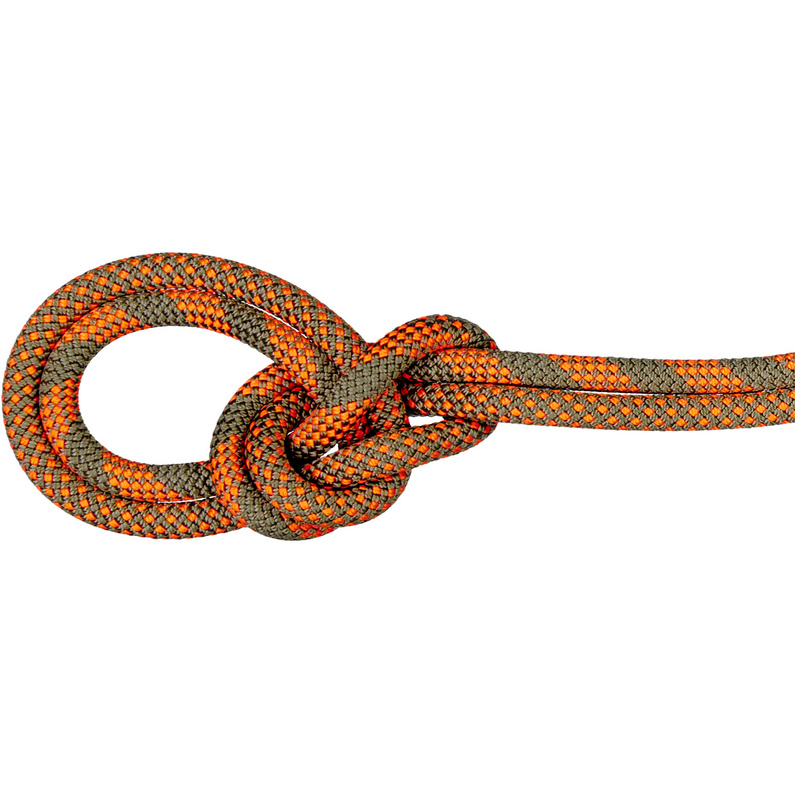 Mammut 9.5 Crag Dry Duodess Kletterseil