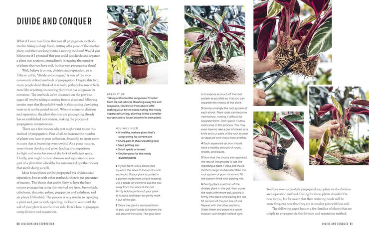 New Mags The Propagation Handbook