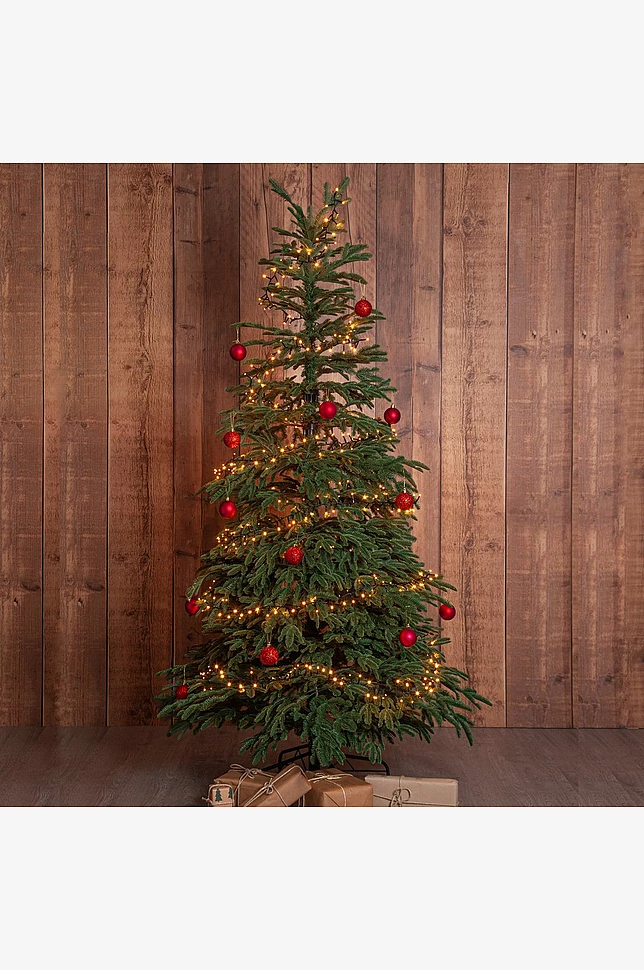 EDANE juletre naturtro utendørs høyde 210 cm