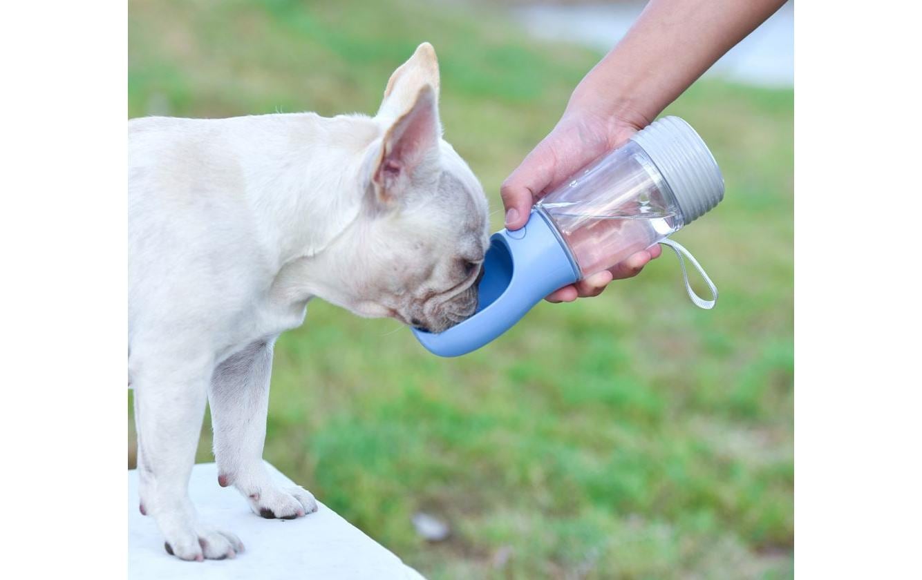 Trink- und Futterflasche, 380 ml & 180 gFür unterwegs, Trinkflasche und Futterspender für Hunde