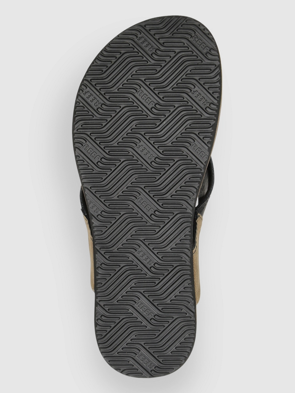 Reef Newport Sandals black