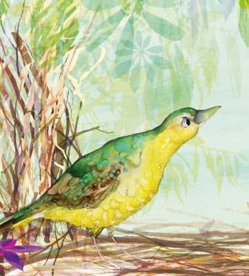 The Bowerbird: Signed Bookplate Edition (Hardback)