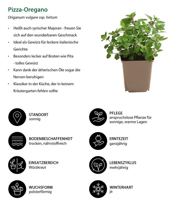 Pizza-Oregano