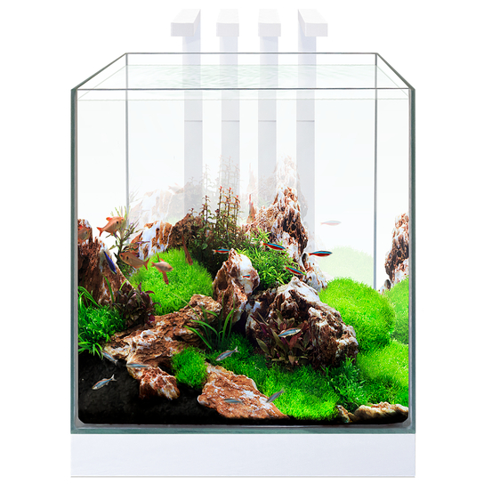 Aquarium Nano Nexus, blanc - 25 litres