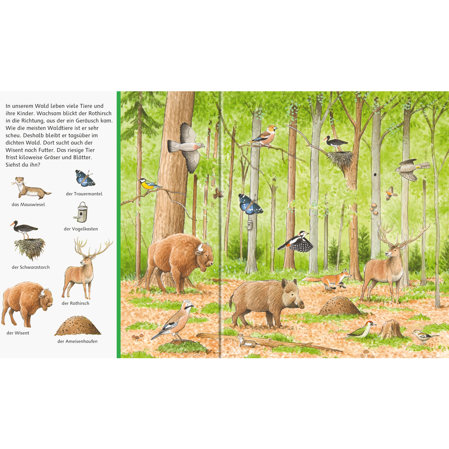 Ravensburger Sachen suchen: Tiere im Wald