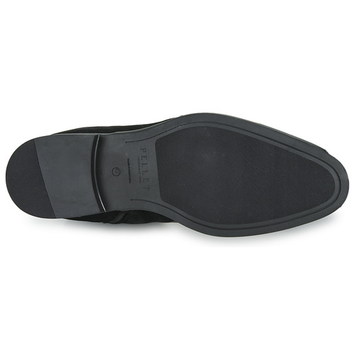 Pellet - ELLIOT - Veau lisse brosse / velours noir