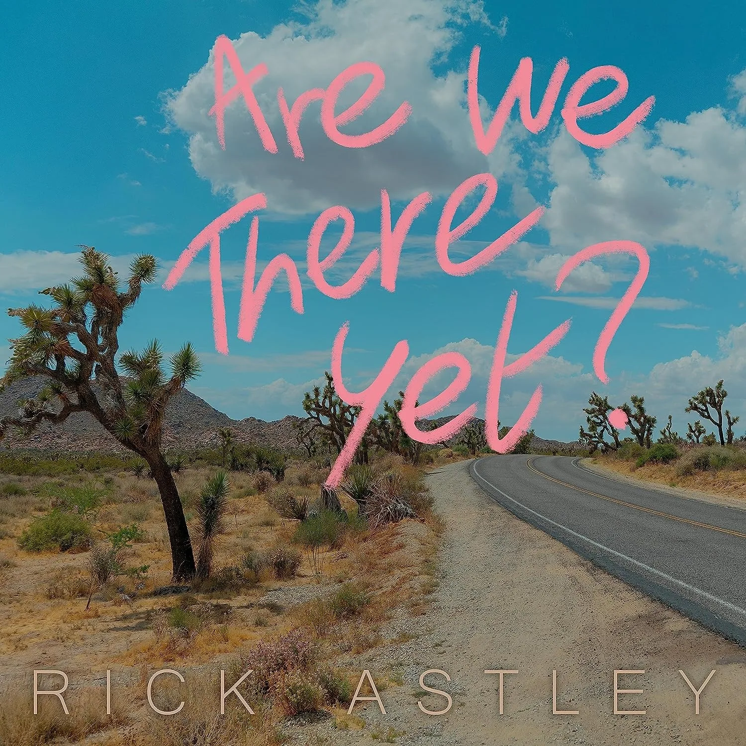 Rick Astley - Are We There Yet ? (1 LP) Disques vinyle Pop Rock