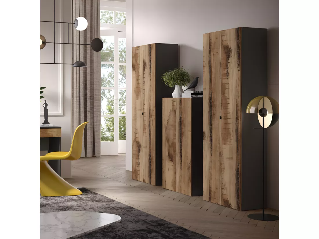 Armoire de bureau 2 portes 2 étagères Noir/Bois fumé - TORINO