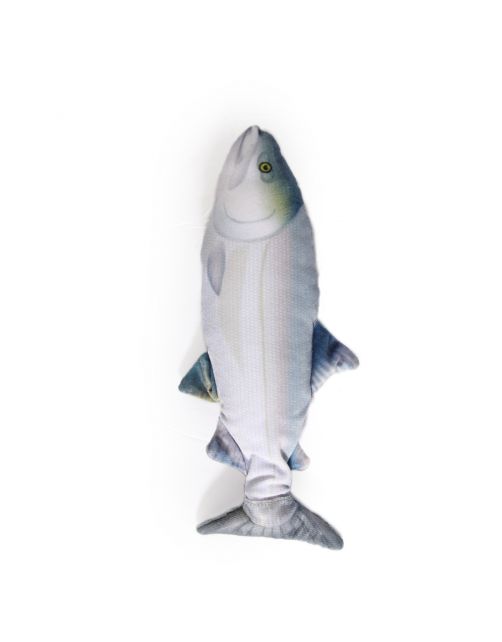 All For Paws Fish Sardine - Kattenspeelgoed - 28x12x5.5 cm Multi-Color