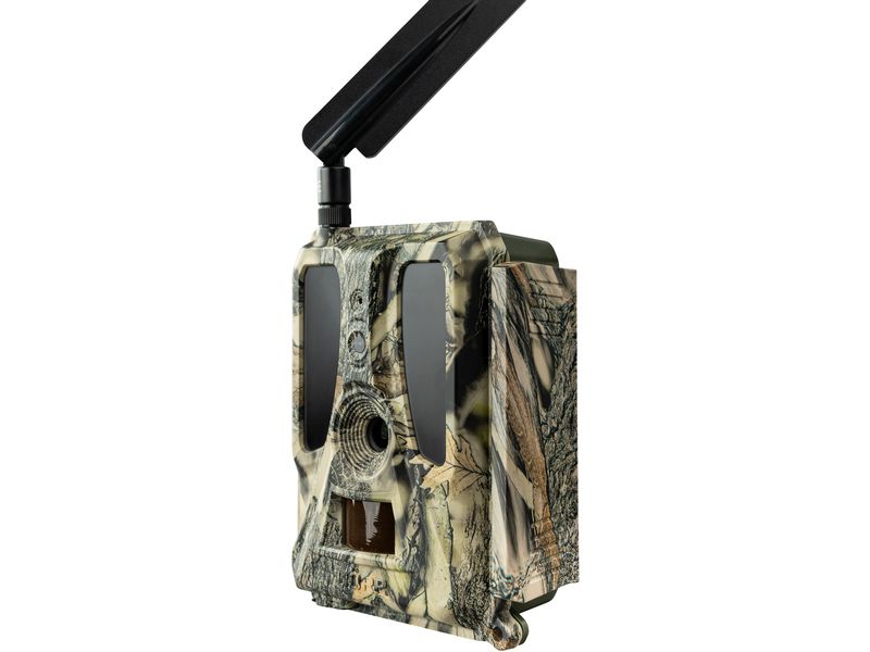 Dörr Kamera Wildkamera SnapShot Cloud Pro 4G WA Weitwinkel Überwachungskamera für hochauflösende Wildtierbeobachtung und Sicherheitsüberwachung