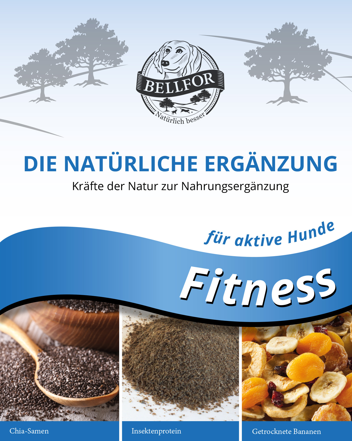 Forfait fitness - fitness riegel 400g + fitness pulver 250g + immun pulver 80g