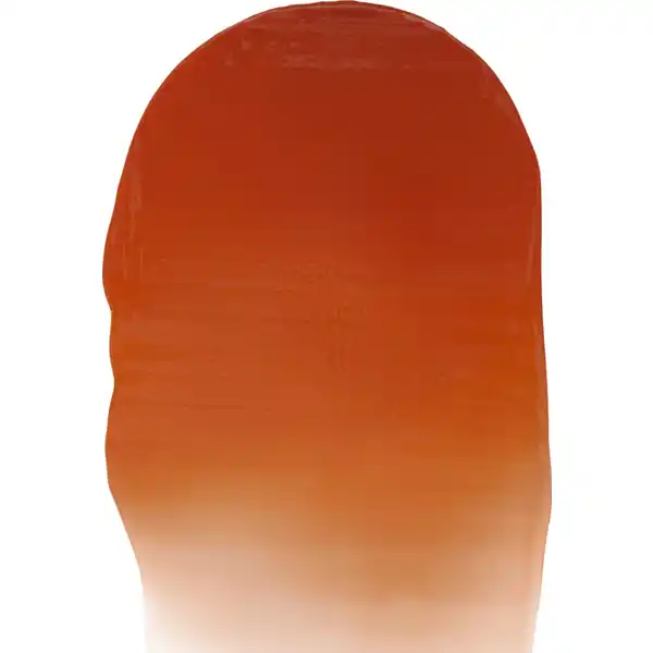 Glossy Lip Stain Coral Cutie