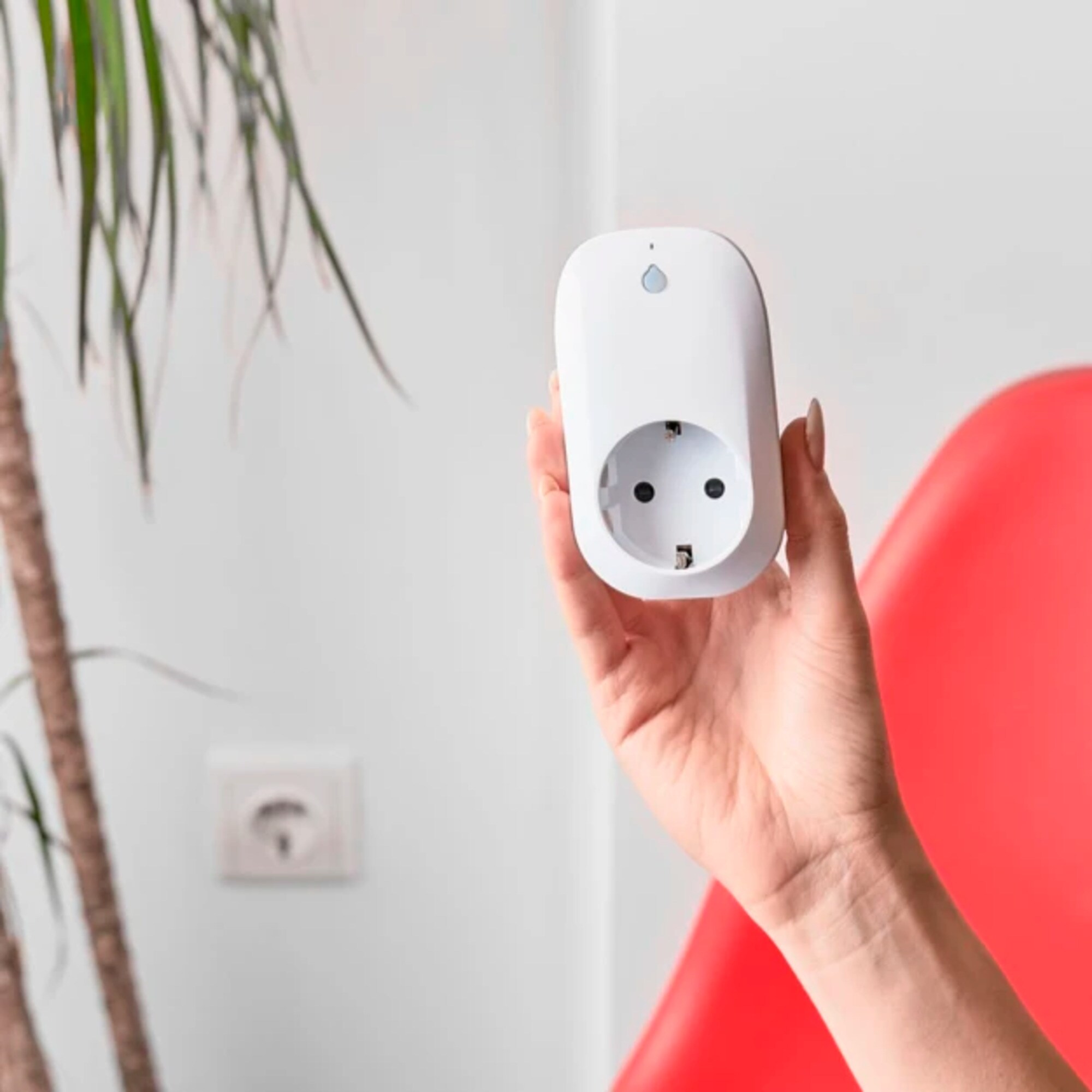 Shelly Stecker Plug