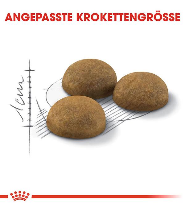 ROYAL CANIN® Trockenfutter für Katzen Indoor