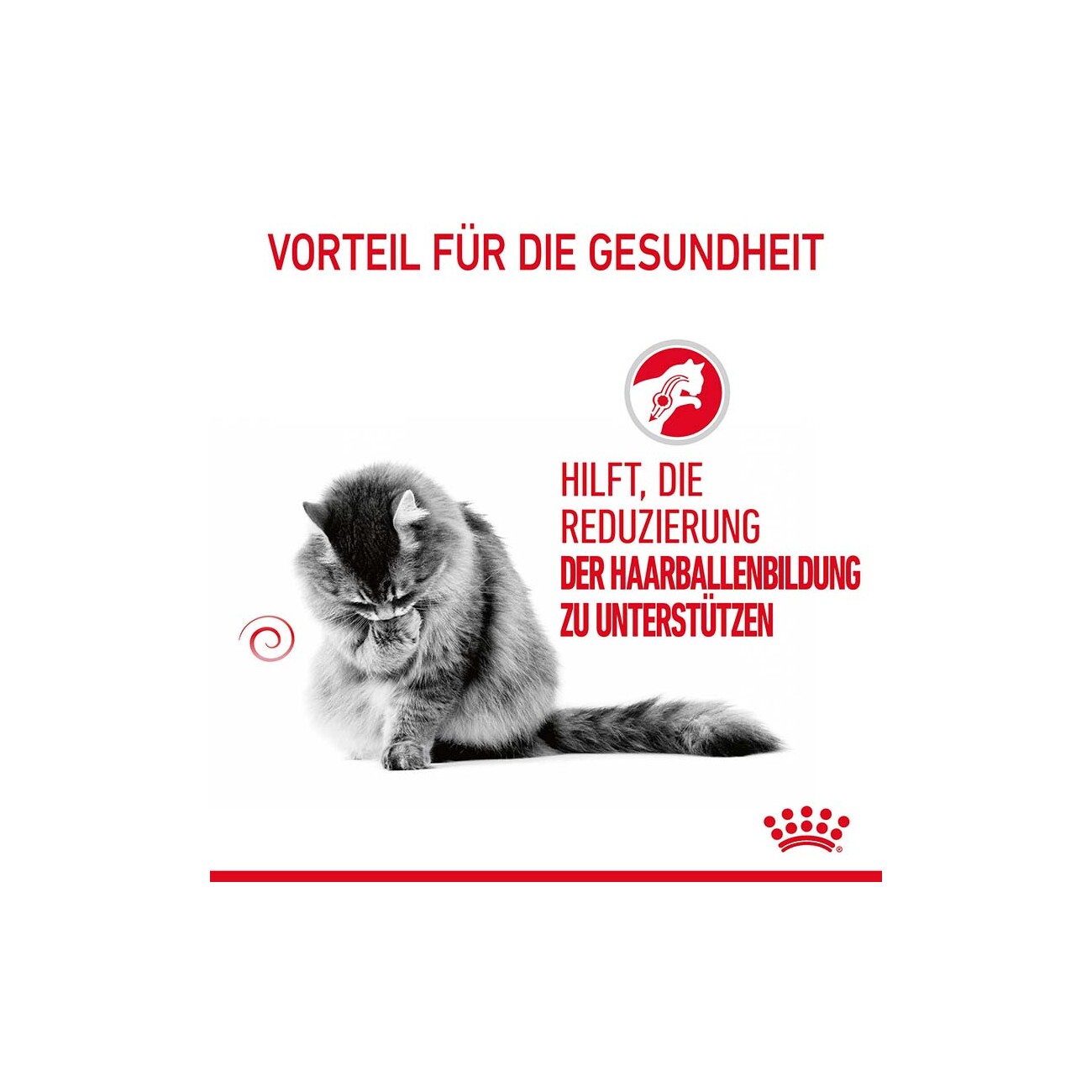 ROYAL CANIN Care Hairball Adult in Soße 12x85 g
