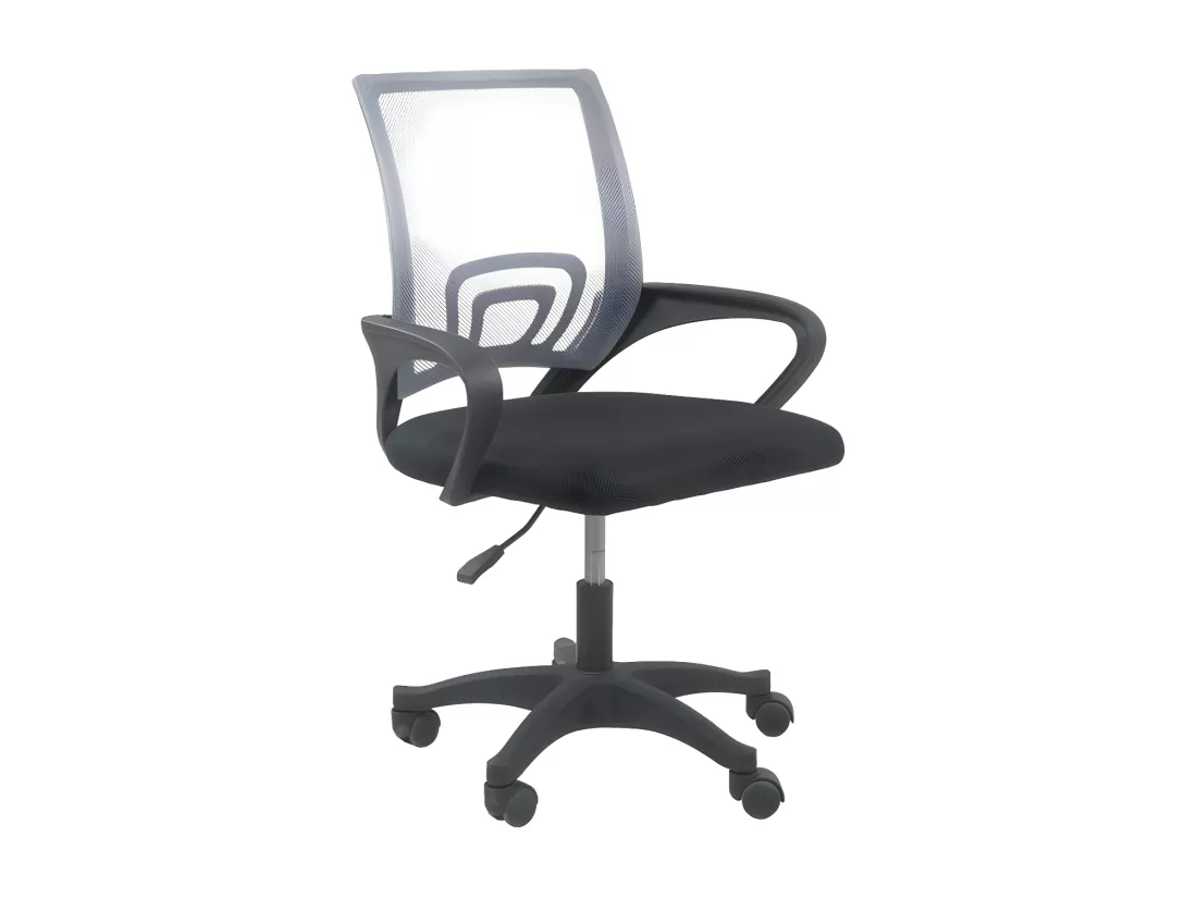 CARISE - Fauteuil de bureau ergonomique - Hauteur ajustable - Avec accoudoirs - Chaise de bureau pivotante