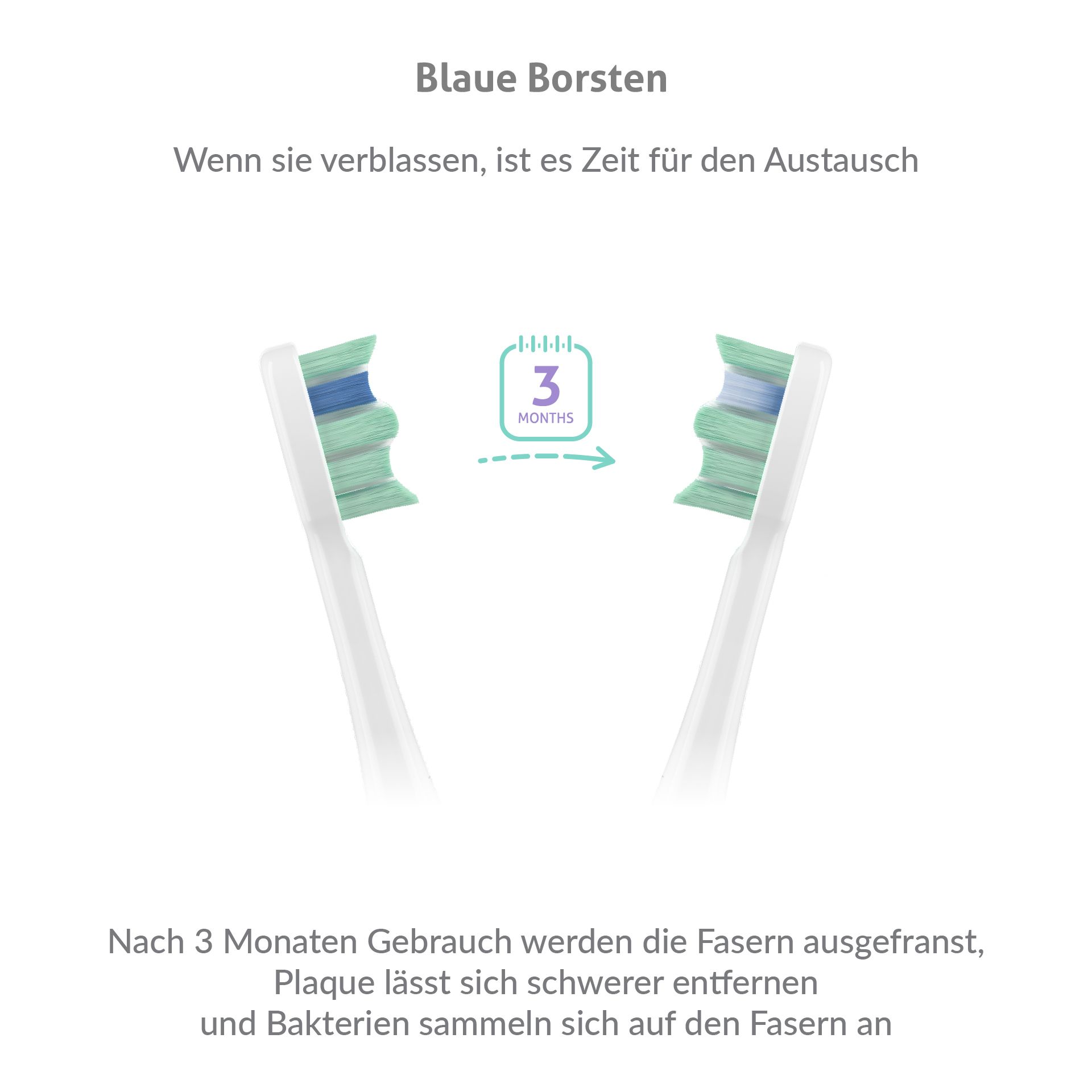 TrueLife SonicBrush Clean30 White