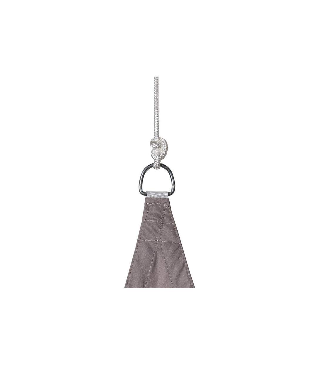 Voile d'ombrage triangulaire Curacao - 5 x 5 x 5 m - Taupe