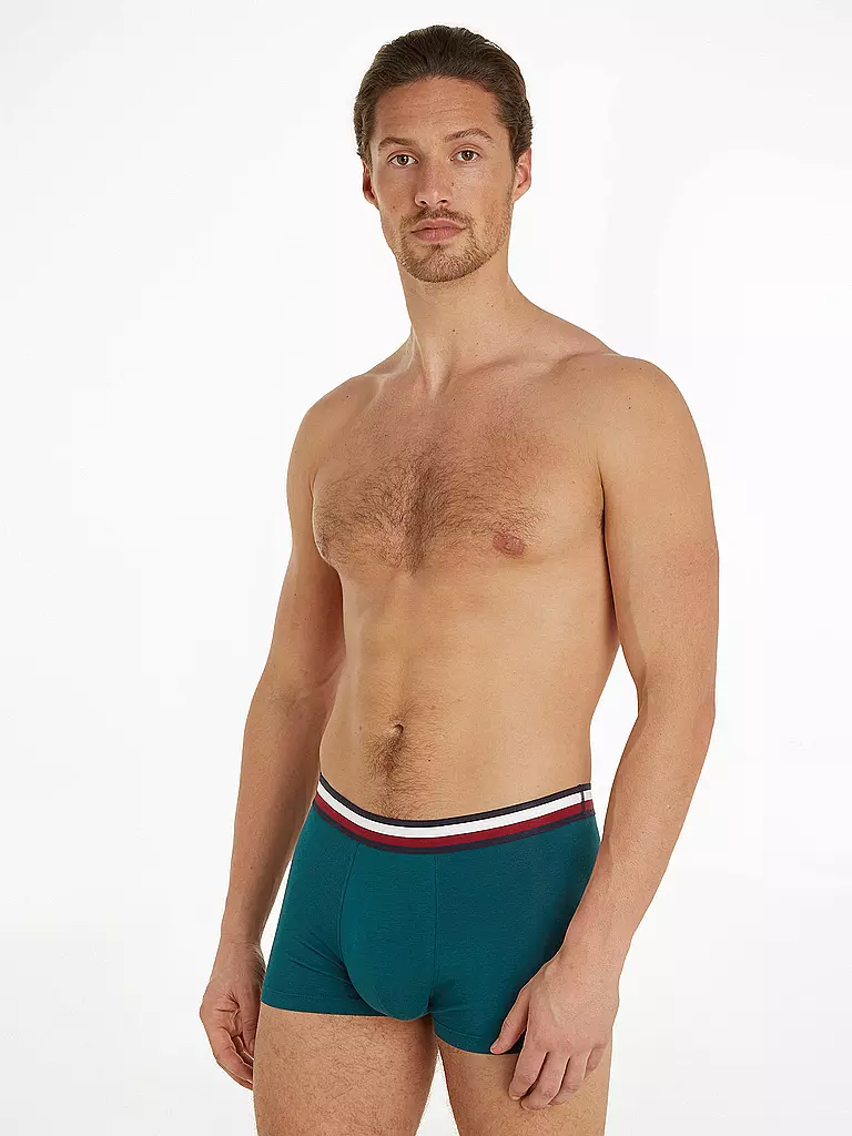 TOMMY HILFIGER Pants 3-er Pkg green petrol