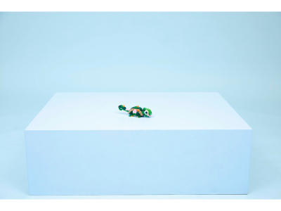 LEGO Schildpad met waterlelie (31377)